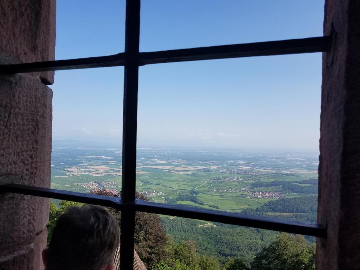 Ferienwohnung Sonnenschein Rheinhausen Εξωτερικό φωτογραφία