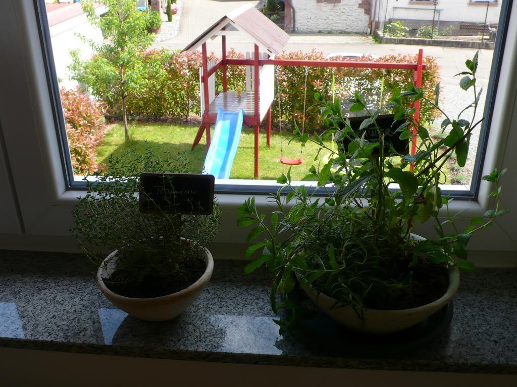Ferienwohnung Sonnenschein Rheinhausen Εξωτερικό φωτογραφία